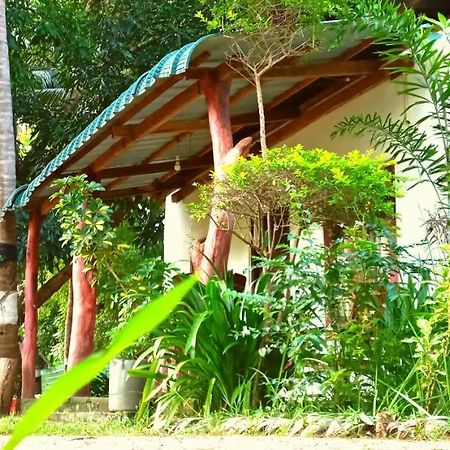 Sigiri Picaso Home Stay สิกิริยา ภายนอก รูปภาพ