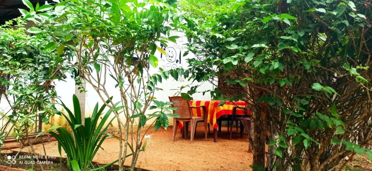 Sigiri Picaso Home Stay สิกิริยา ภายนอก รูปภาพ