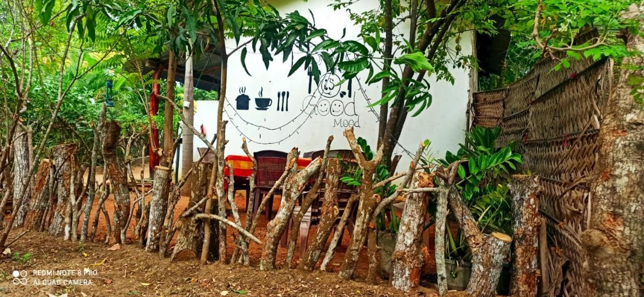 Sigiri Picaso Home Stay สิกิริยา ภายนอก รูปภาพ