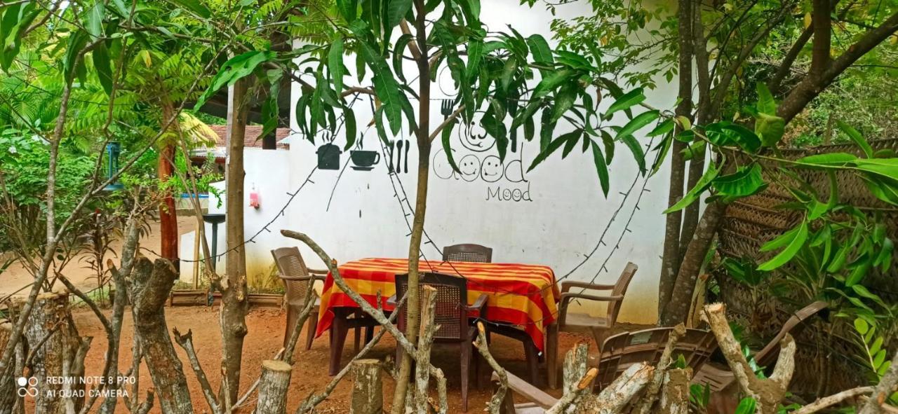 Sigiri Picaso Home Stay สิกิริยา ภายนอก รูปภาพ