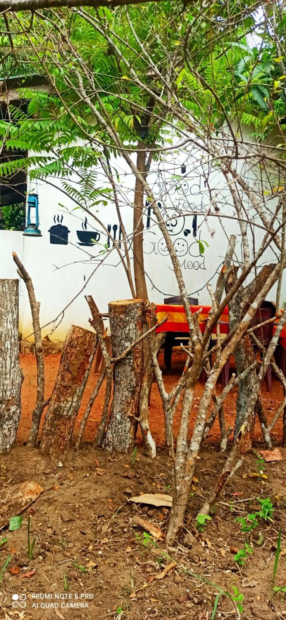 Sigiri Picaso Home Stay สิกิริยา ภายนอก รูปภาพ
