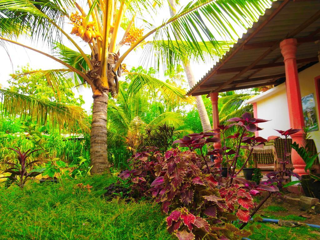 Sigiri Picaso Home Stay สิกิริยา ภายนอก รูปภาพ