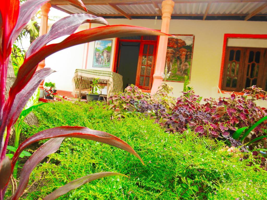 Sigiri Picaso Home Stay สิกิริยา ภายนอก รูปภาพ