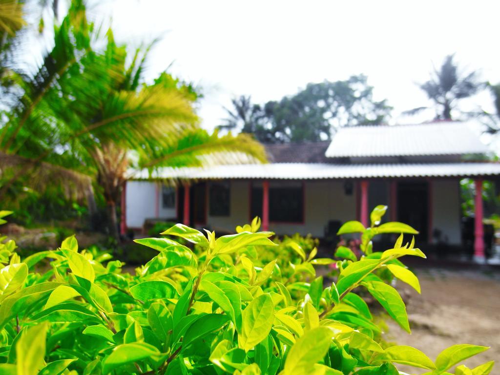 Sigiri Picaso Home Stay สิกิริยา ภายนอก รูปภาพ