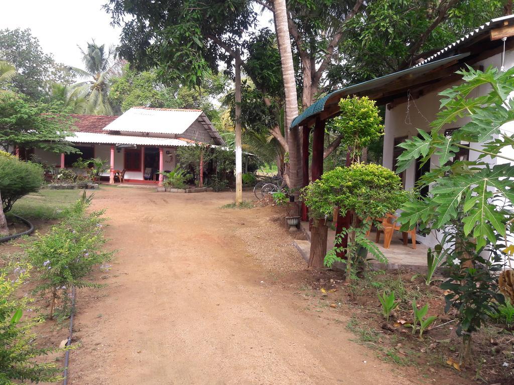 Sigiri Picaso Home Stay สิกิริยา ภายนอก รูปภาพ