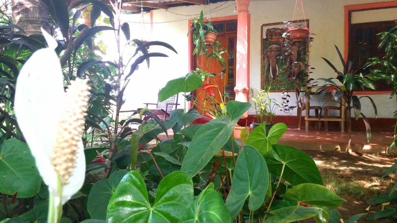 Sigiri Picaso Home Stay สิกิริยา ภายนอก รูปภาพ