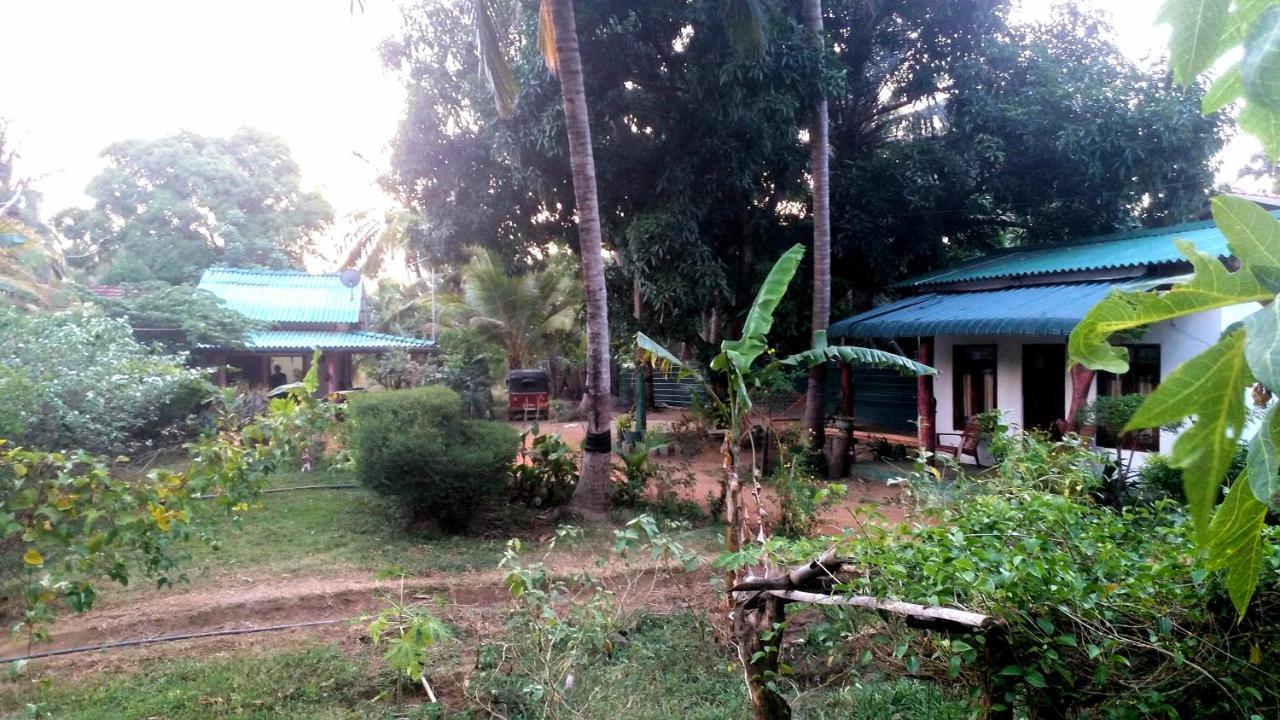 Sigiri Picaso Home Stay สิกิริยา ภายนอก รูปภาพ
