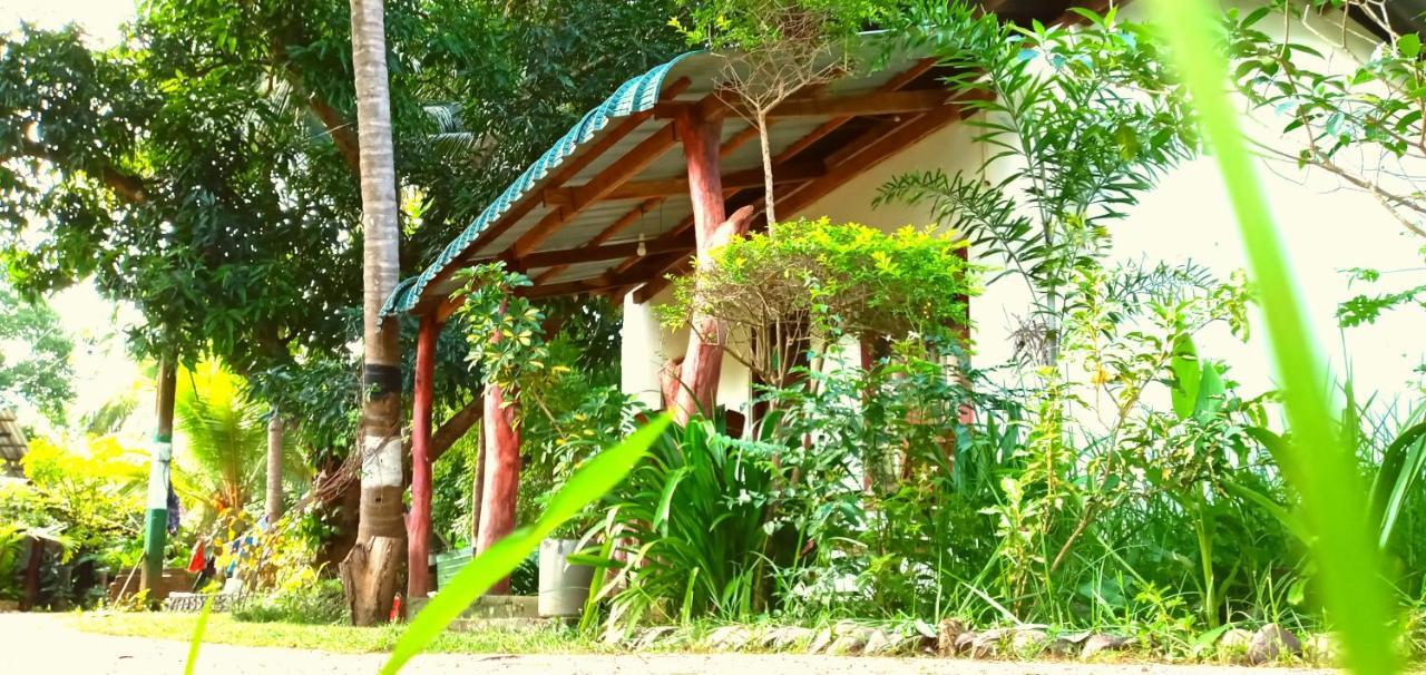 Sigiri Picaso Home Stay สิกิริยา ภายนอก รูปภาพ