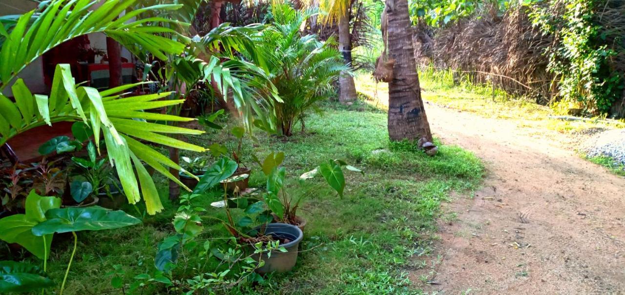 Sigiri Picaso Home Stay สิกิริยา ภายนอก รูปภาพ