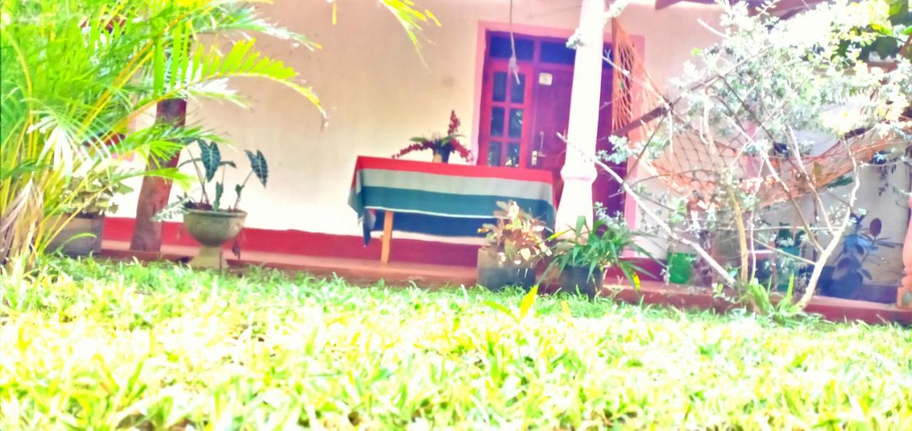 Sigiri Picaso Home Stay สิกิริยา ภายนอก รูปภาพ