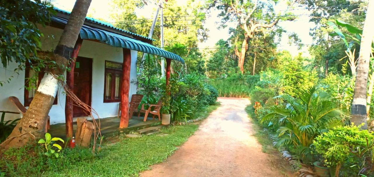 Sigiri Picaso Home Stay สิกิริยา ภายนอก รูปภาพ