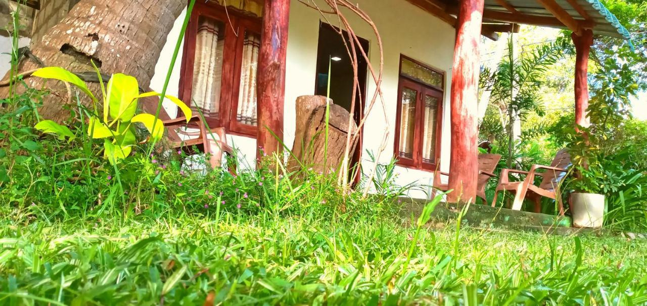 Sigiri Picaso Home Stay สิกิริยา ภายนอก รูปภาพ